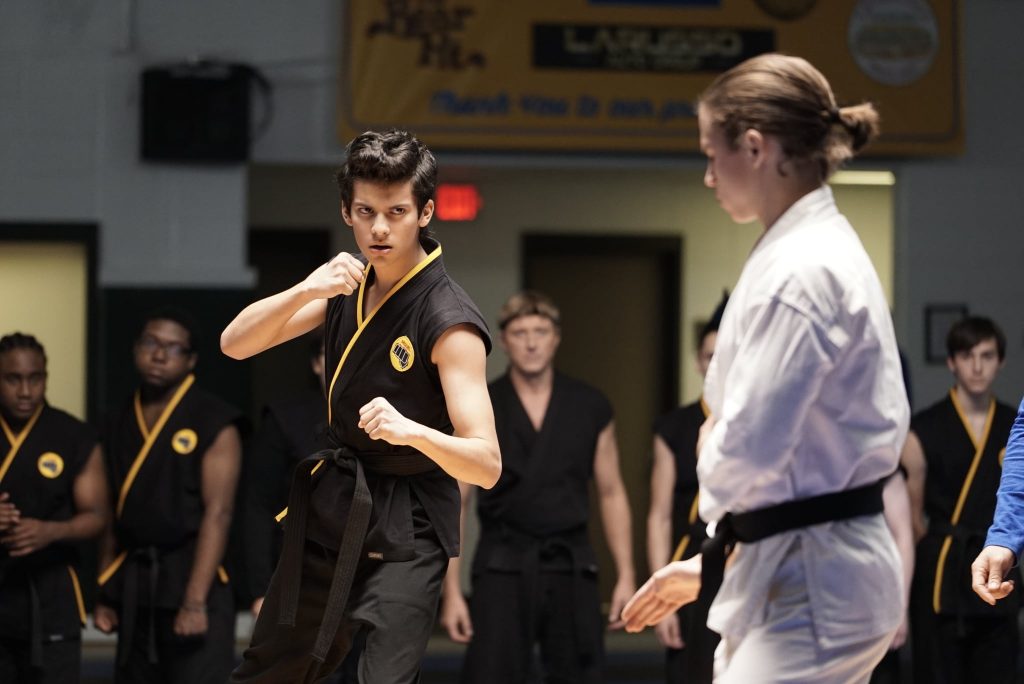 Cobra Kai Season One: A Reaction, Not A Review - Rambling Ever On