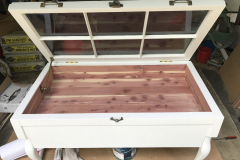 coffee-table-display-case-48