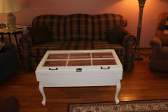 coffee-table-display-case-49