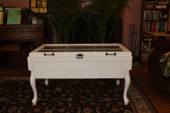 coffee-table-display-case-50
