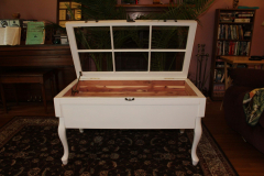 coffee-table-display-case-51